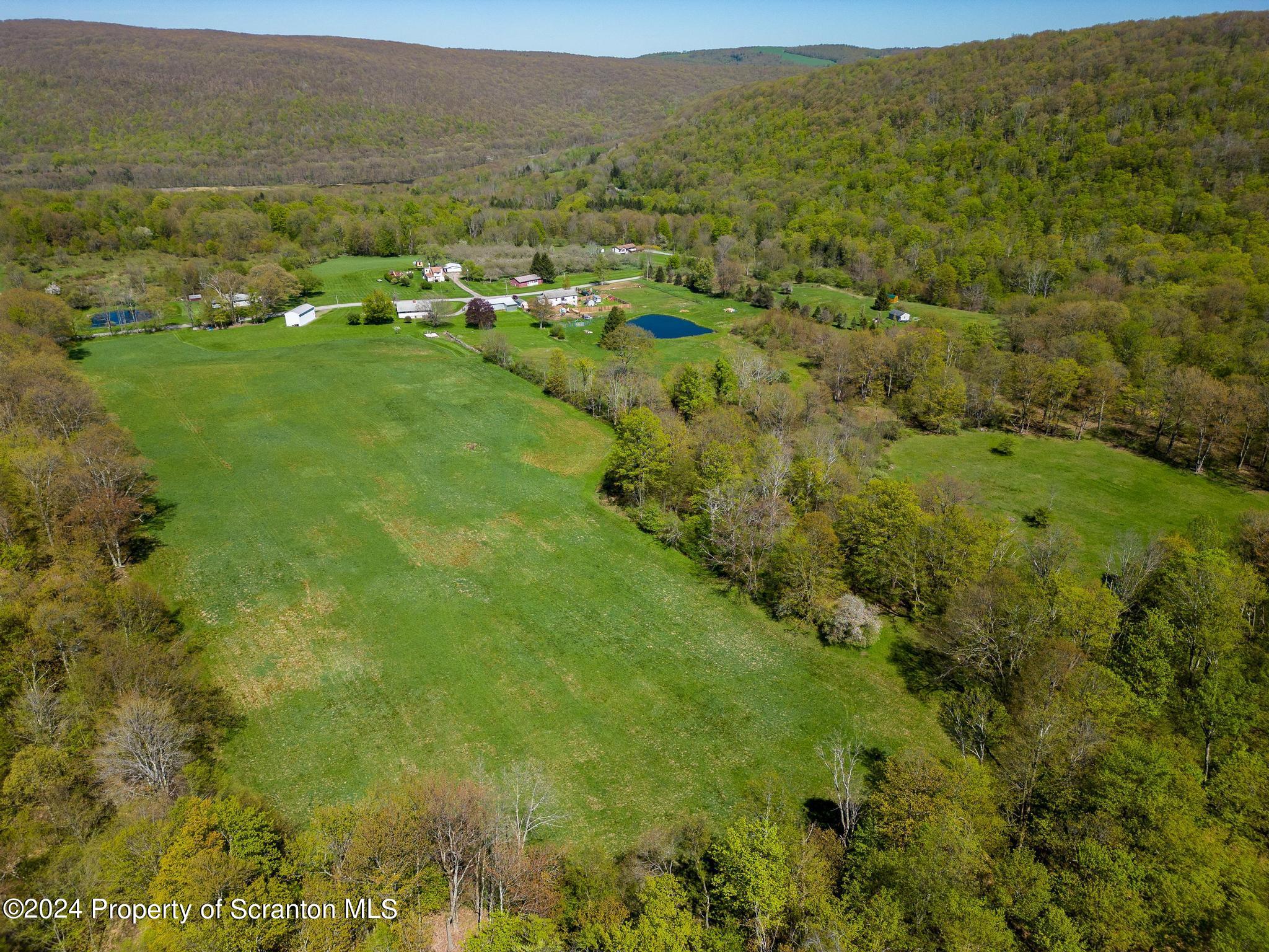 520 State Rte 2010 Forest City, PA 18421 - Photo 10 of 99 a view of a green field with lots of trees