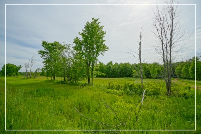 25-acres County Rd J Schofield, WI 54476 - Photo 1 of 1