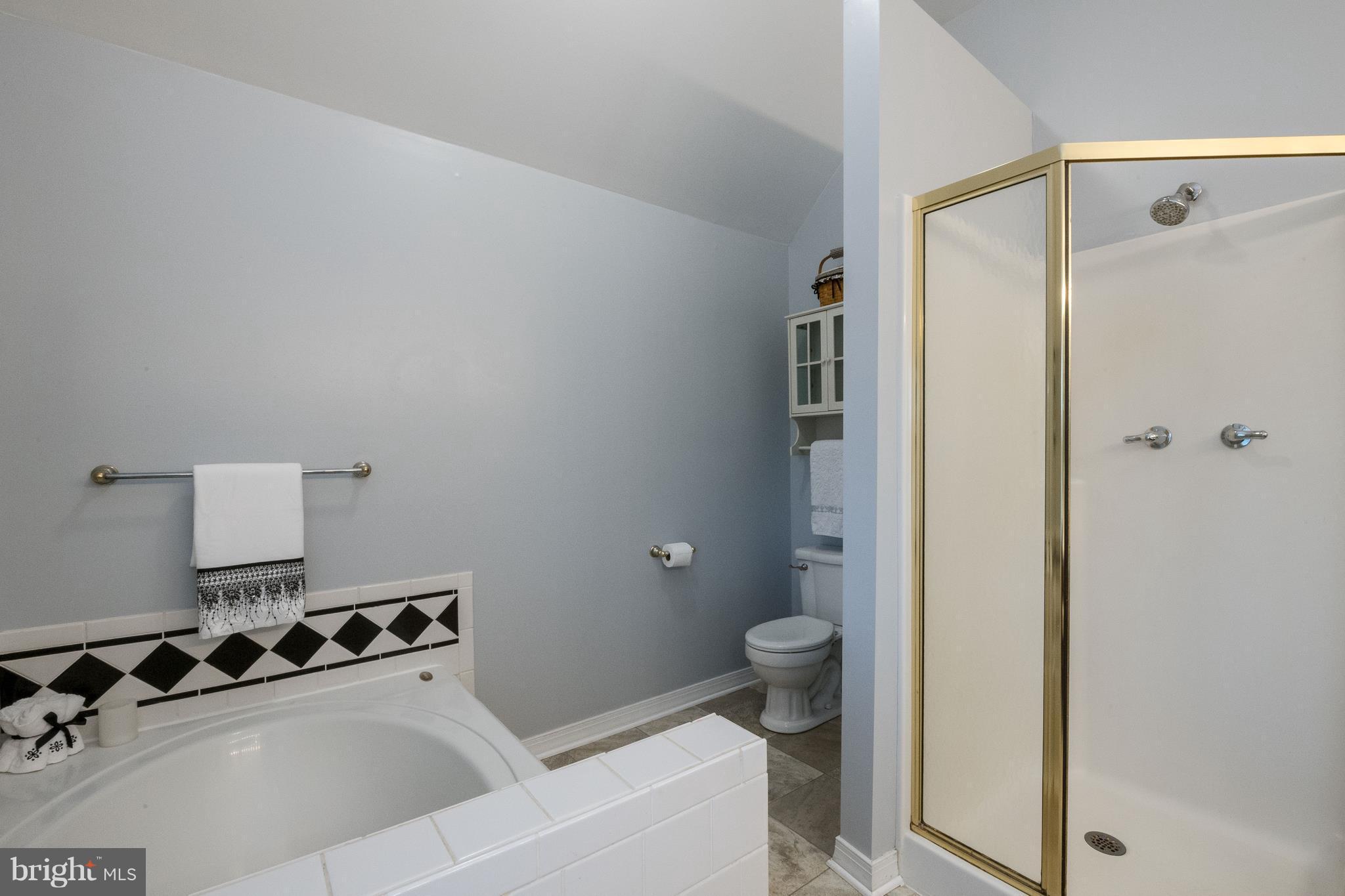 124 Chews Manor Road Stevensville, MD 21666 - Photo 23 of 30 Separate (jetted) tub
