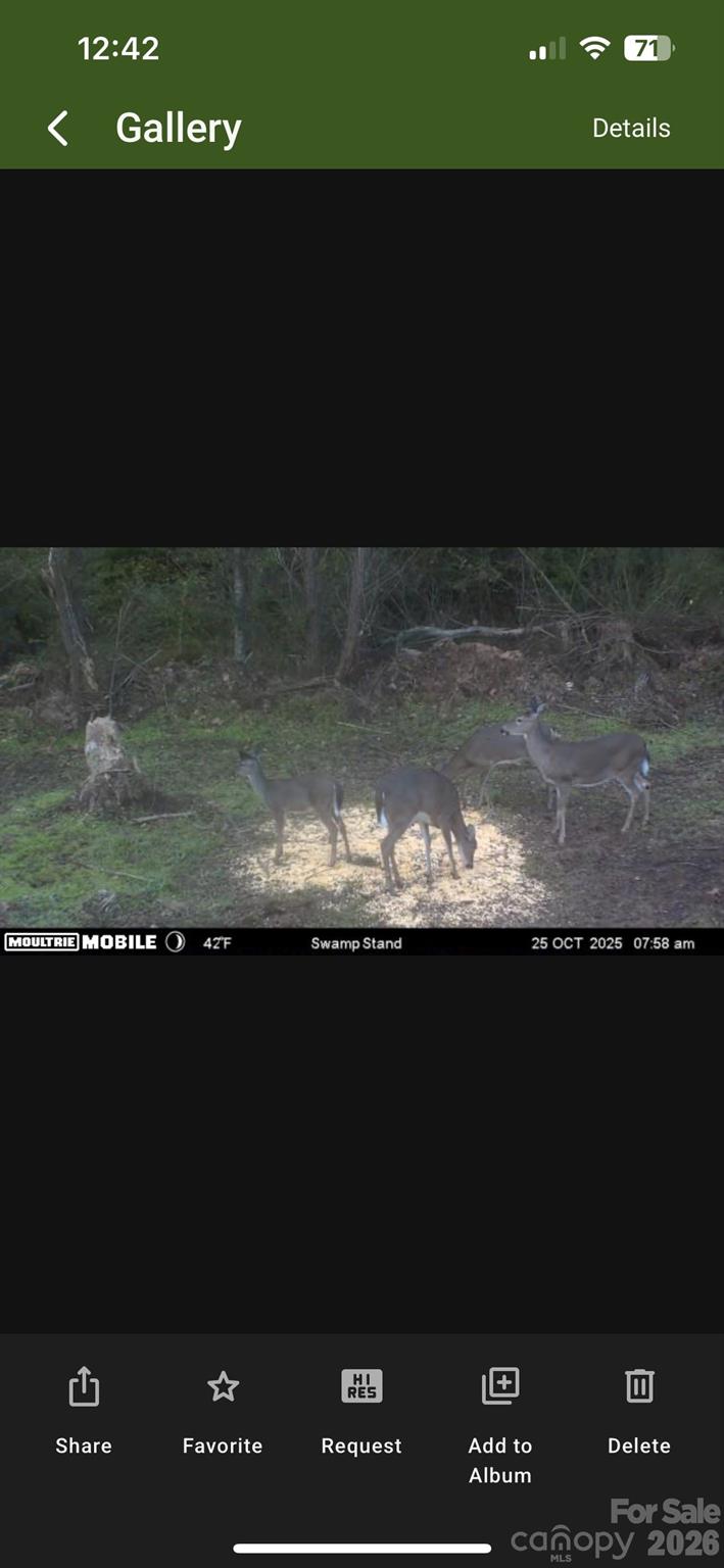 0 Alf Hoover Road Lincolnton, NC 28092 - Photo 12 of 13
