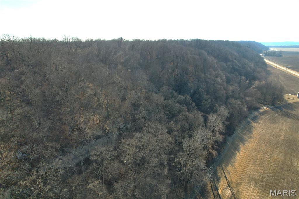 1 North Hillview-Eldred Road Hillview, IL 62050 - Photo 28 of 31