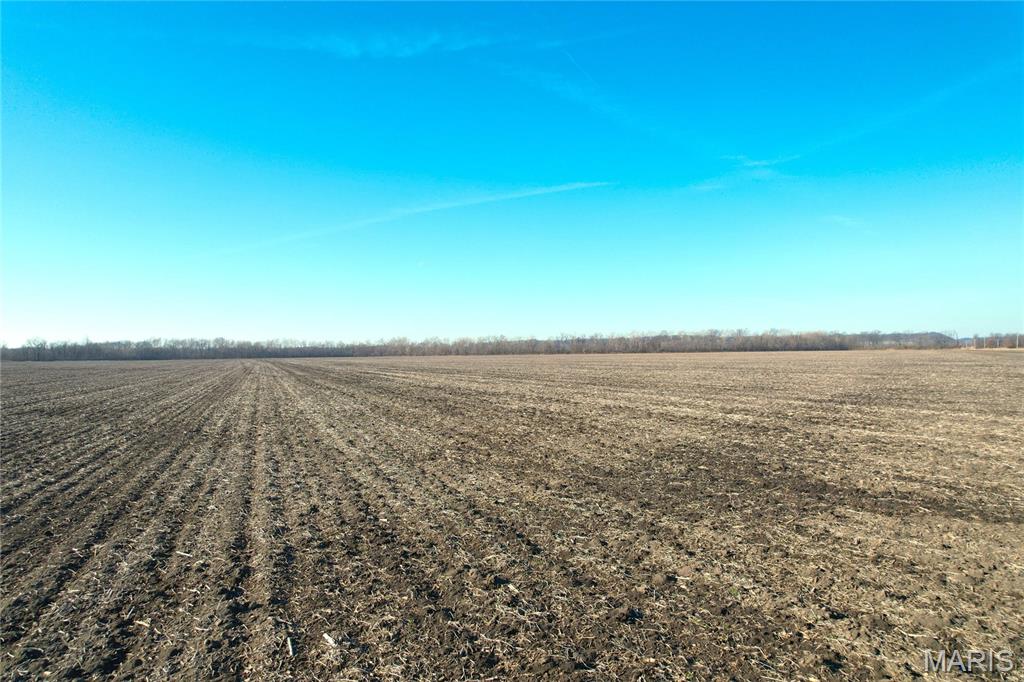 1 North Hillview-Eldred Road Hillview, IL 62050 - Photo 10 of 31