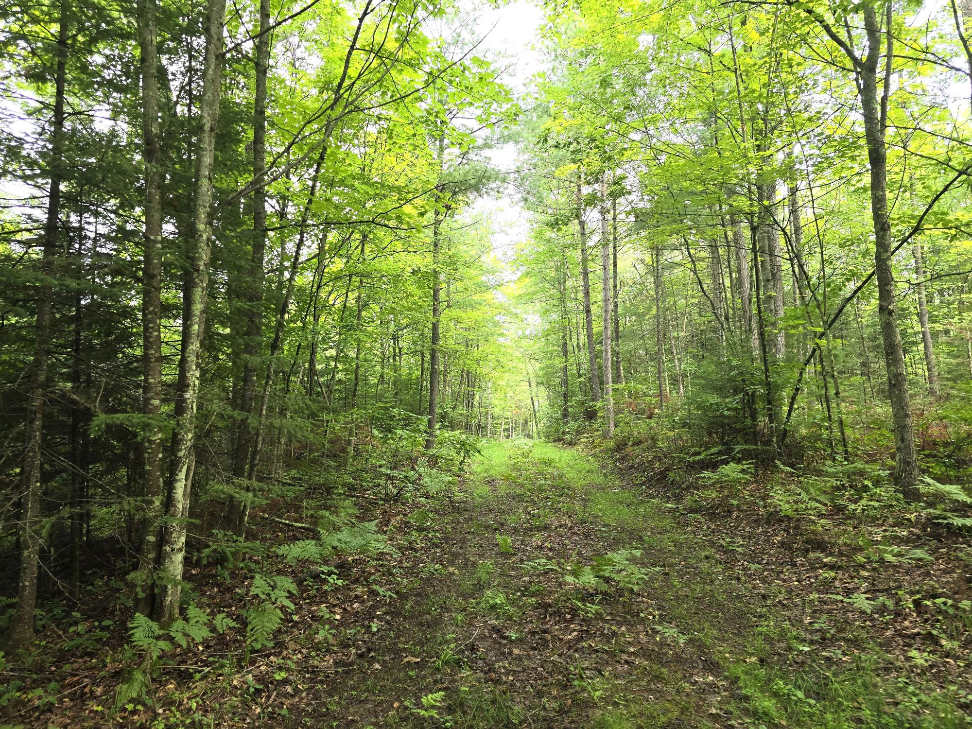 On Dam Road Eagle River, WI 54521 - Photo 23 of 86 Gallery Image 23