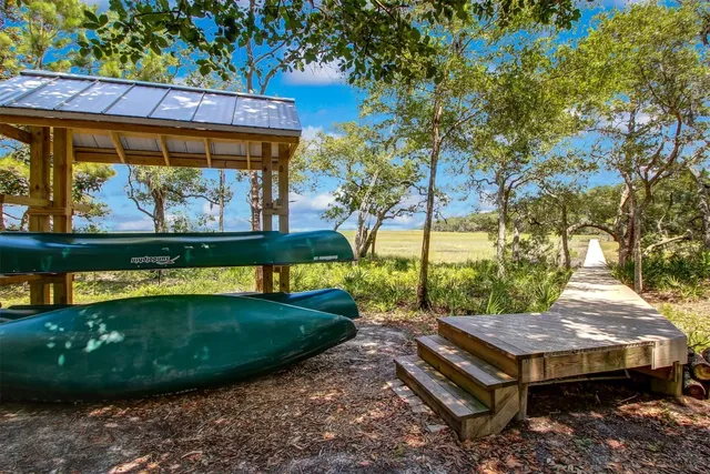a view of a park with a tree