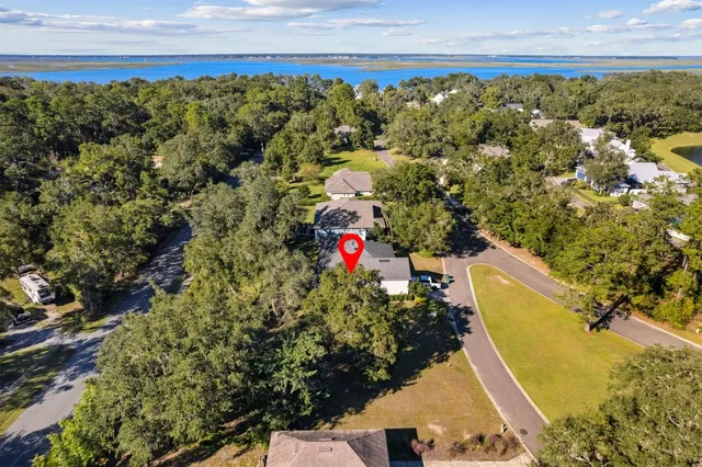 view of outdoor space with lots of trees