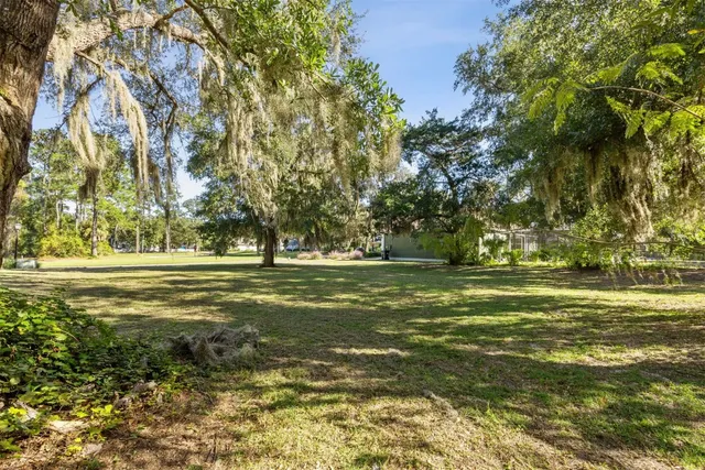 a view of a field with trees