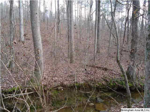 Loop Road Steele, AL 35987 - Photo 15 of 17