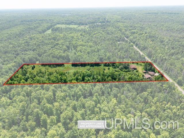 509 Dukes Road Skandia, MI 49885 - Photo 55 of 63