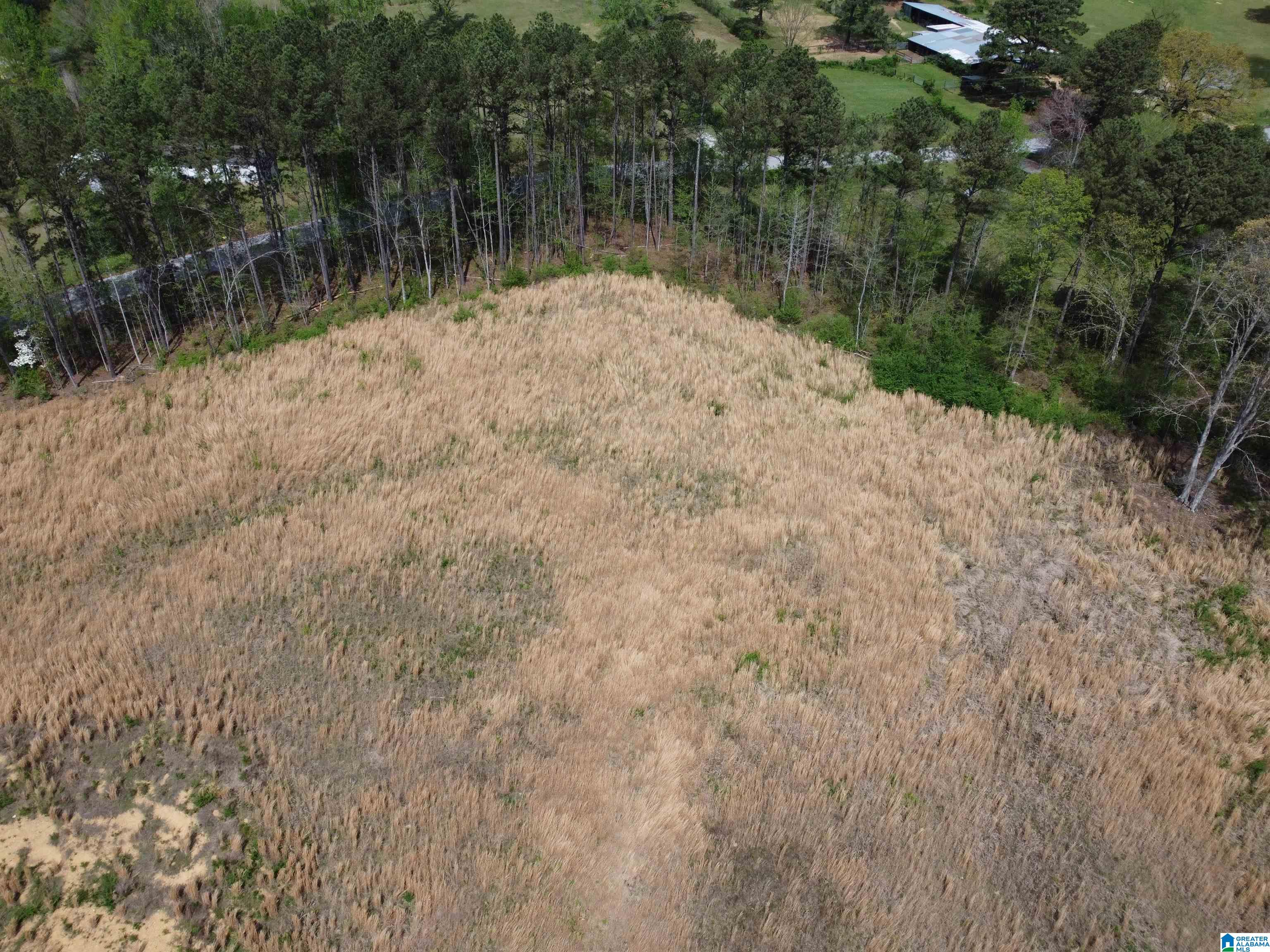 0 Greensport Road Ashville, AL 35953 - Photo 10 of 43
