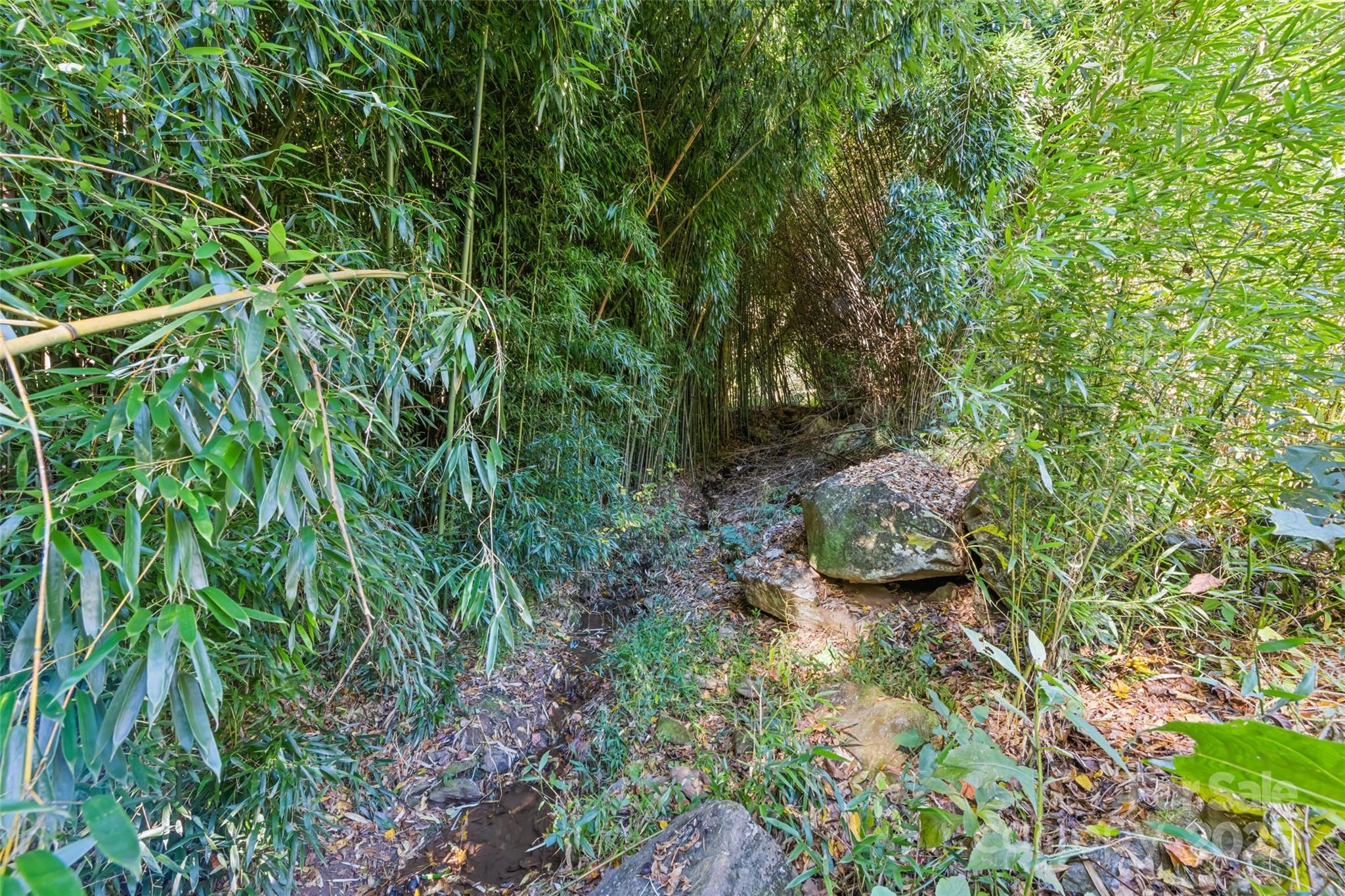 1807 Fisher Crk Road Sylva, NC 28779 - Photo 28 of 37 a view of outdoor space and deck