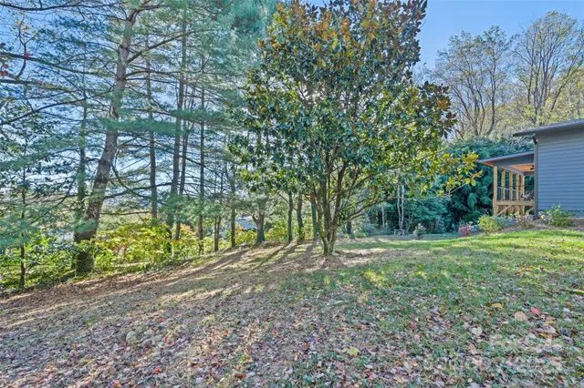 a view of a yard with plants and trees