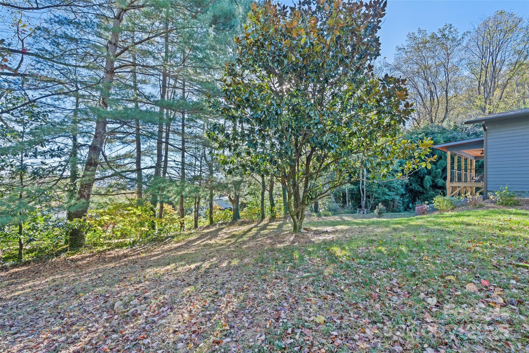 1807 Fisher Crk Road Sylva, NC 28779 - Photo 35 of 37 a view of a yard with plants and trees