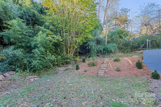 a view of a forest with a sitting area