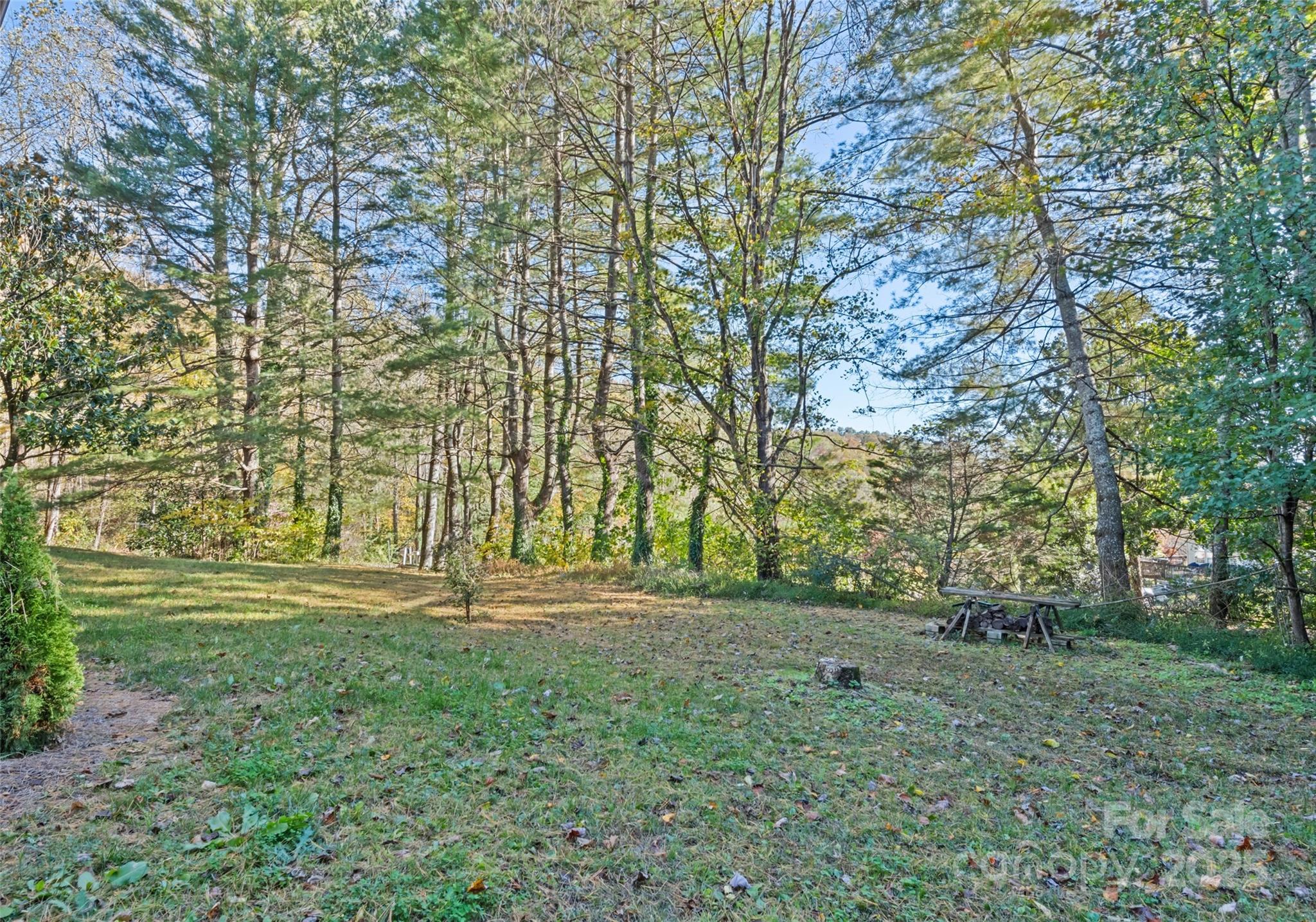 1807 Fisher Crk Road Sylva, NC 28779 - Photo 37 of 37 a view of outdoor space with trees all around
