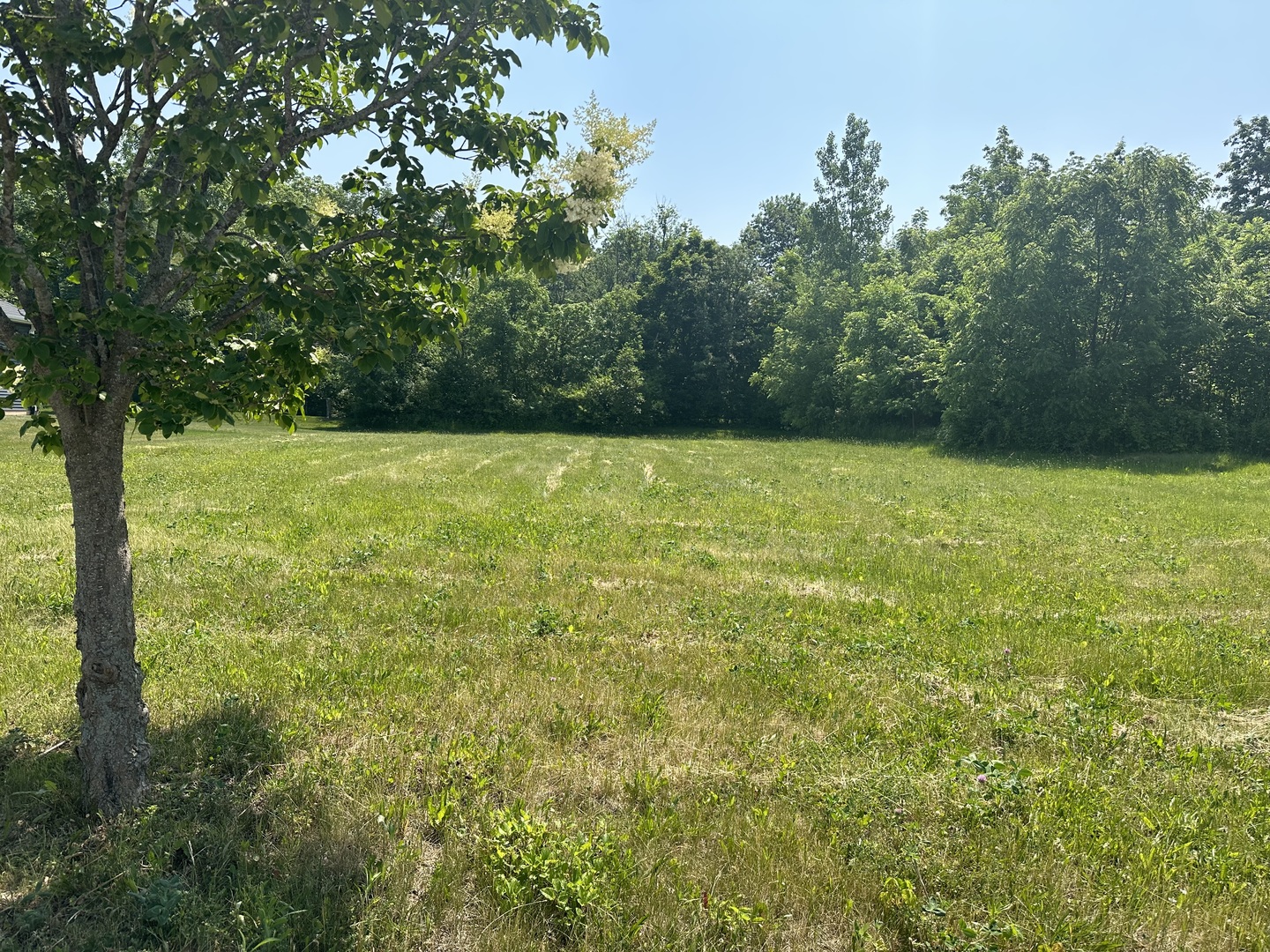 a view of open space and a yard