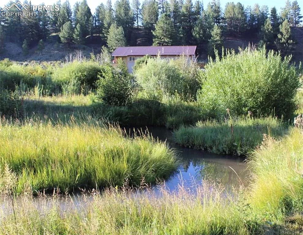 7618 Beekman Road Fort Garland, CO 81133 - Photo 2 of 8 a view of a garden with a lake