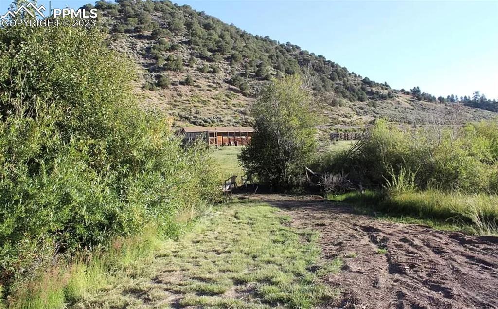 7618 Beekman Road Fort Garland, CO 81133 - Photo 6 of 8 a view of outdoor space and trees