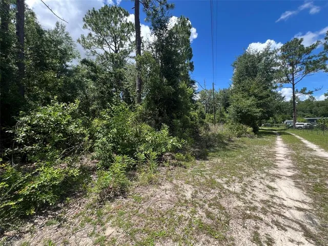 a view of lake with green space