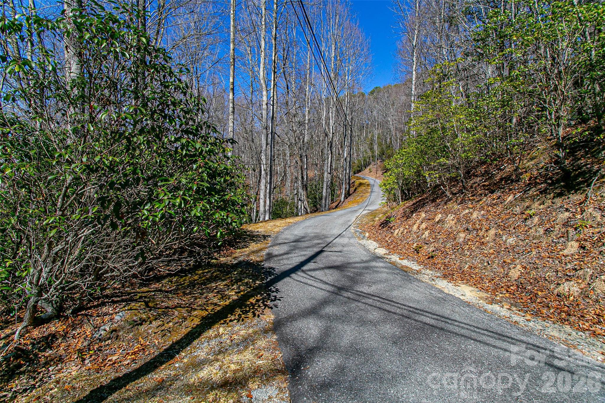 Tbd Still Branch Road, Unit L20 Brevard, NC 28712 - Photo 16 of 26