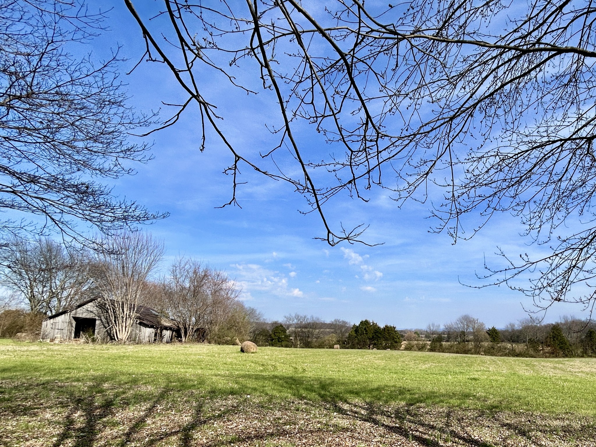 3754 Aedc Road Winchester, TN 37398 - Photo 16 of 16 a view of a field with an trees