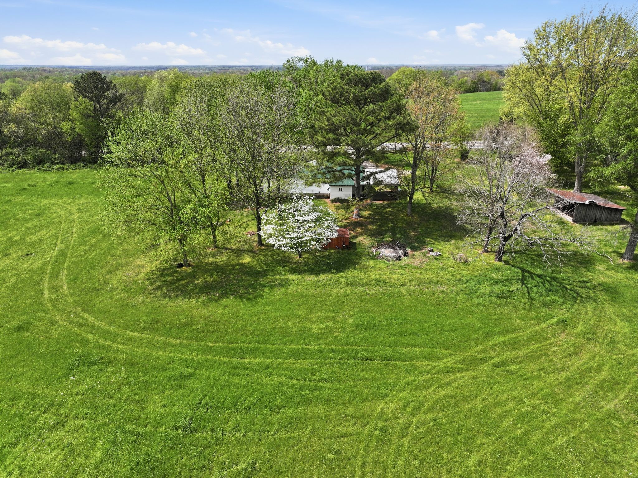 3754 Aedc Road Winchester, TN 37398 - Photo 28 of 30 a view of a green yard with large trees