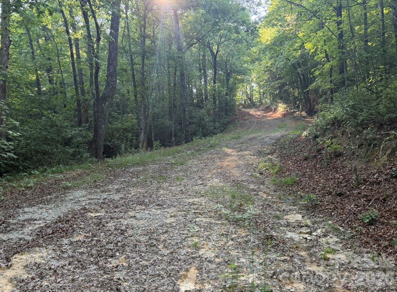 Off Old Toxaway Road Brevard, NC 28712 - Photo 21 of 32 Gallery Image 21