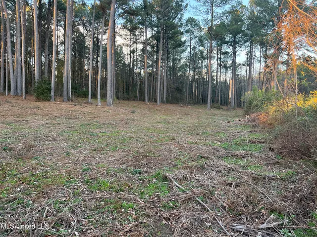 $55,000 | Southeast Mallalieu Drive, Brookhaven, MS 39601