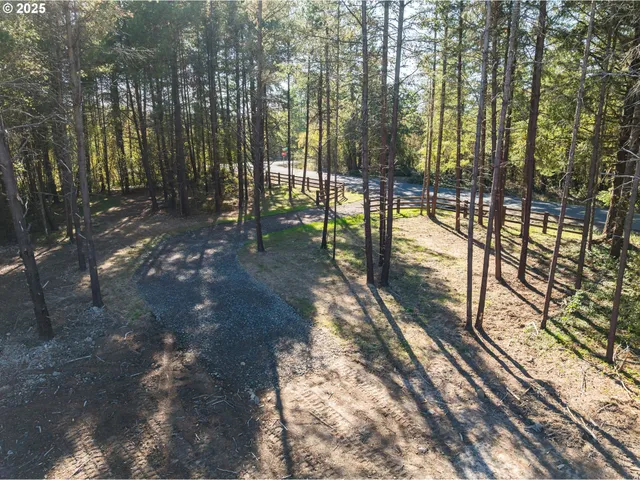 a view of outdoor space with lots of trees