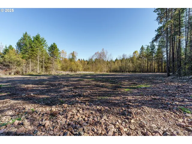 a green field with trees in the background