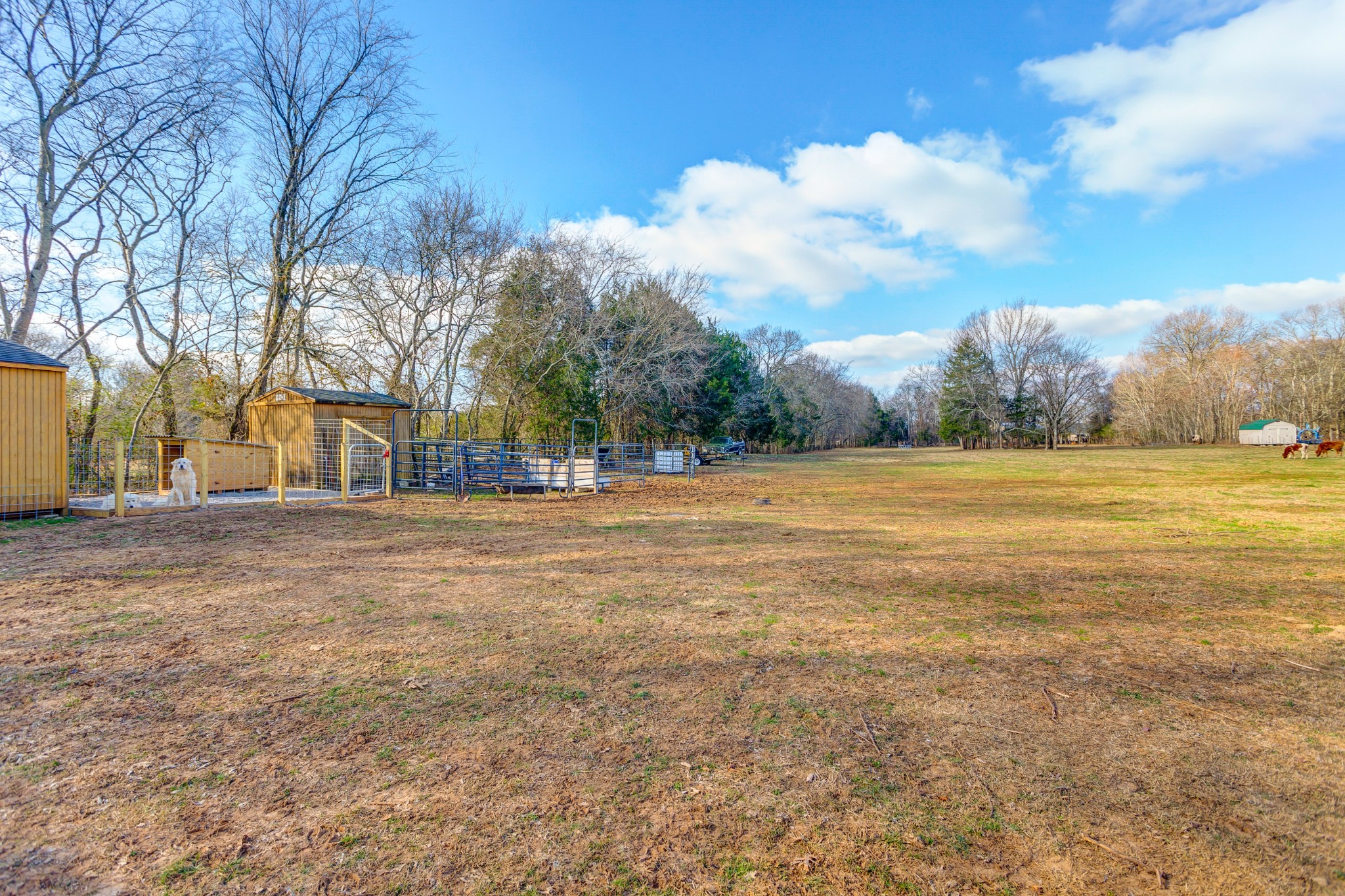 4800 Lunns Store Road Chapel Hill, TN 37034 - Photo 46 of 50 Gallery Image 46