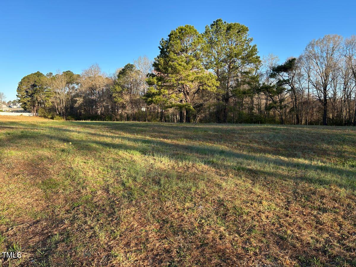 1006 Stephenson Road Benson, NC 27504 - Photo 11 of 29 11