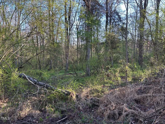 $380,000 | 1006 Stephenson Road, Benson, NC 27504