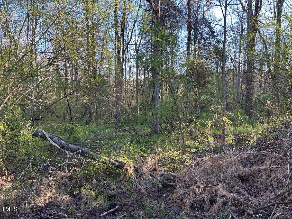 1006 Stephenson Road Benson, NC 27504 - Photo 14 of 29 14