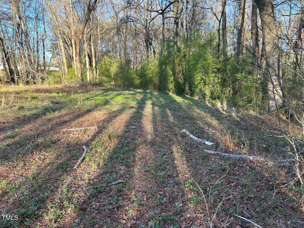 1006 Stephenson Road Benson, NC 27504 - Photo 15 of 29 15