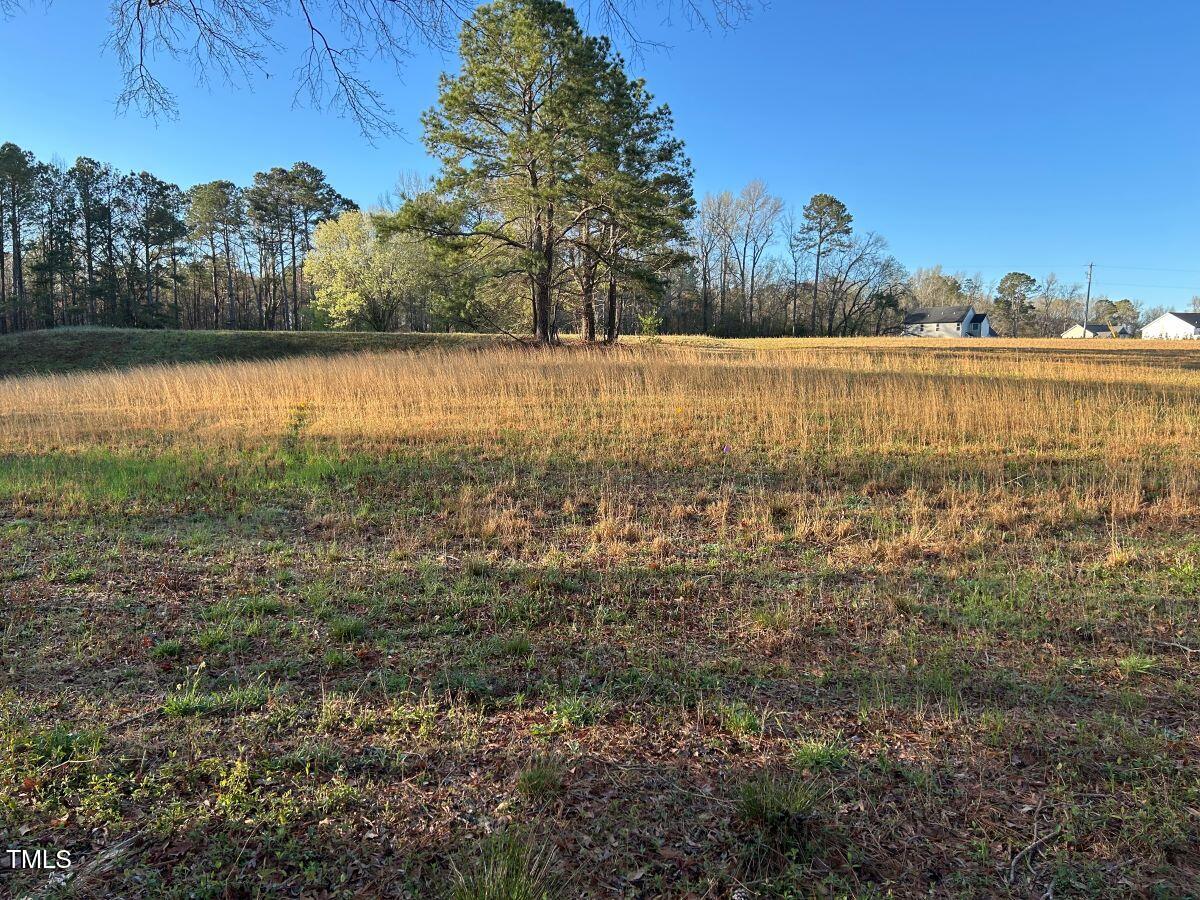 1006 Stephenson Road Benson, NC 27504 - Photo 17 of 29 17