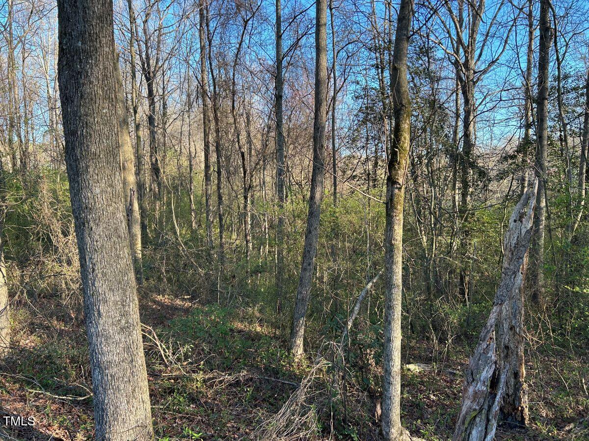 1006 Stephenson Road Benson, NC 27504 - Photo 19 of 29 19