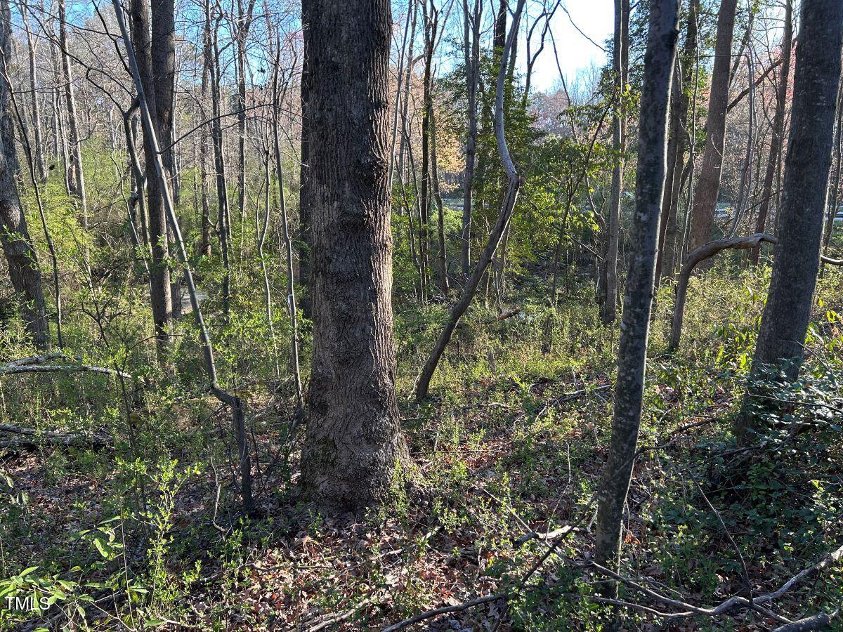 1006 Stephenson Road Benson, NC 27504 - Photo 22 of 29 22