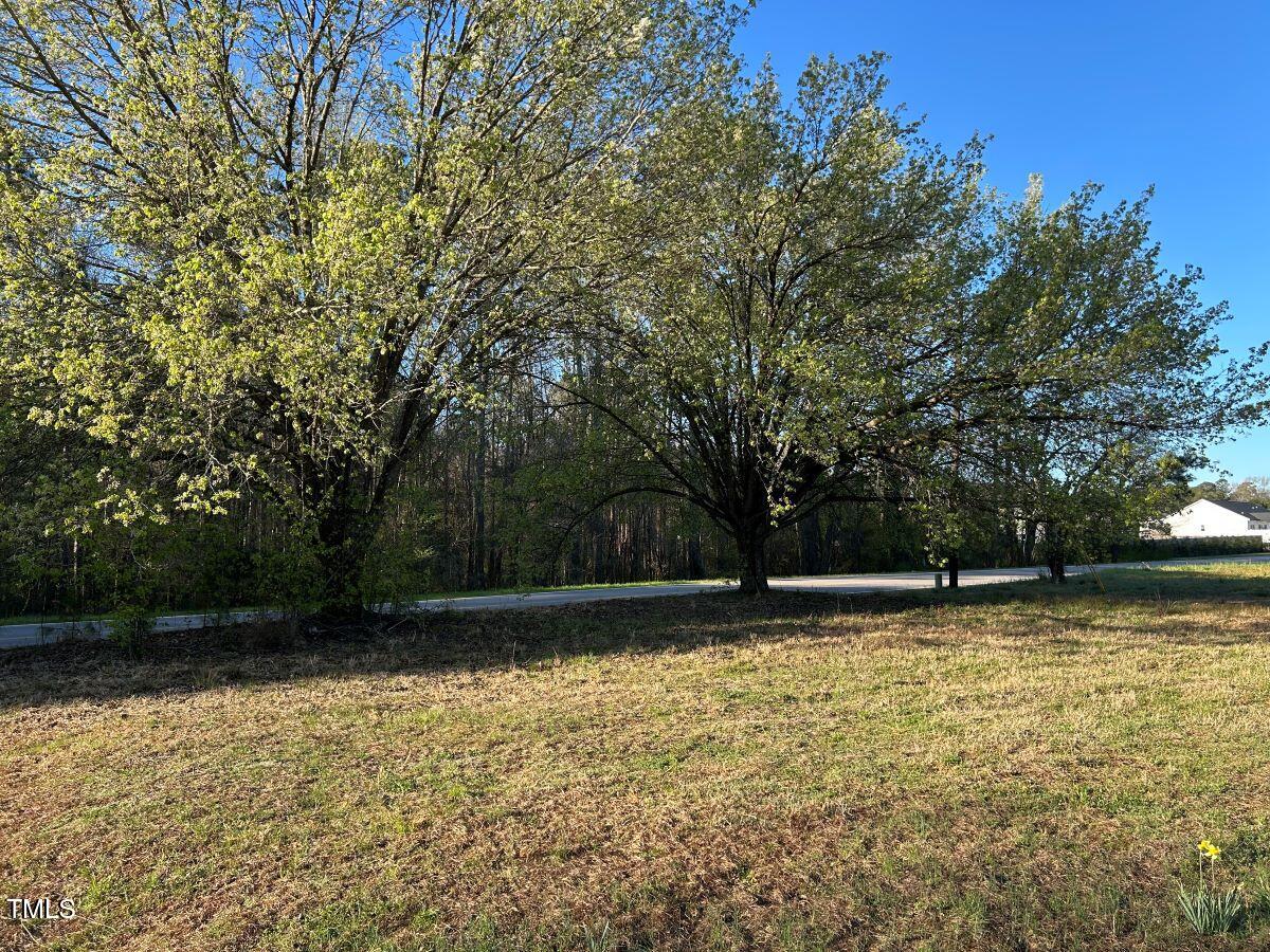 1006 Stephenson Road Benson, NC 27504 - Photo 24 of 29 24