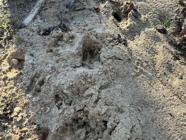 $380,000 | 1006 Stephenson Road, Benson, NC 27504