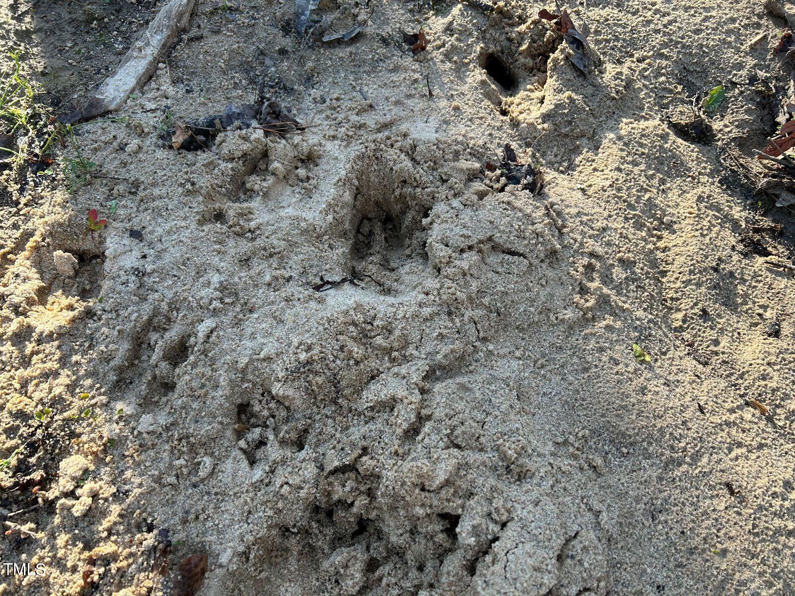 1006 Stephenson Road Benson, NC 27504 - Photo 29 of 29 30