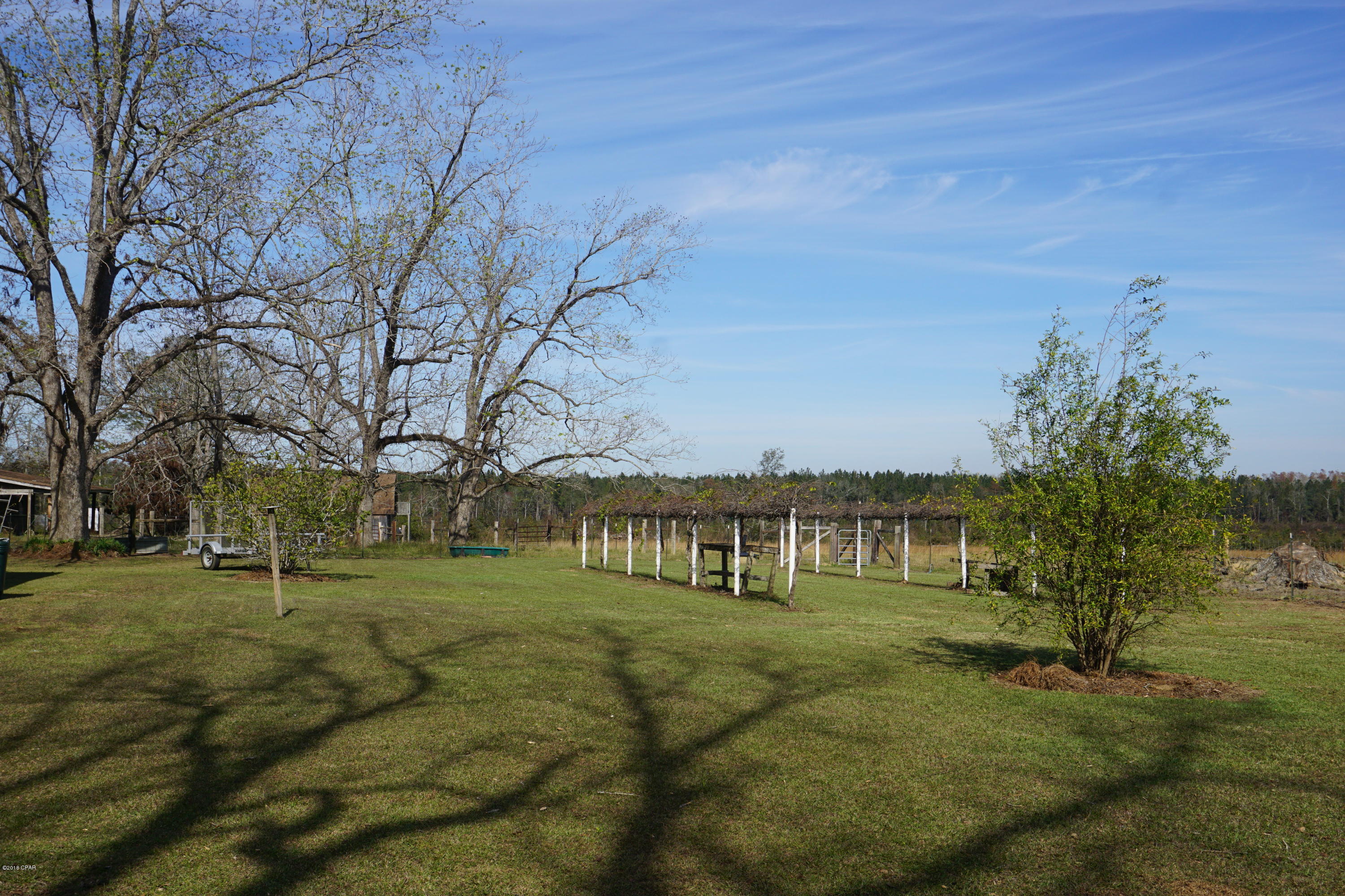 4684 Cliff Road Graceville, FL 32440 - Photo 63 of 75