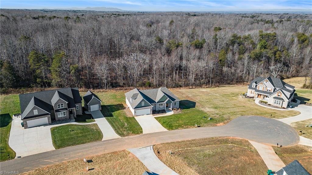 184 Providence Trail Madison, NC 27025 - Photo 47 of 49