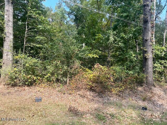 259 Florence Circle Florence, MS 39073 - Photo 32 of 33 IMG_1843