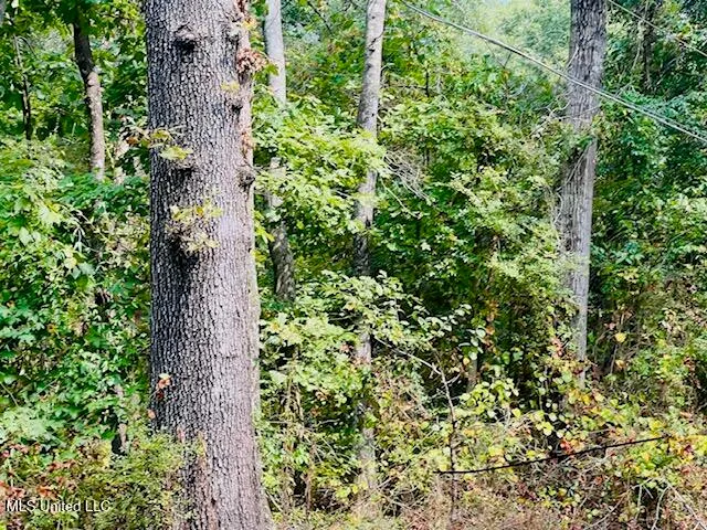 $259,900 | 259 Florence Circle, Florence, MS 39073