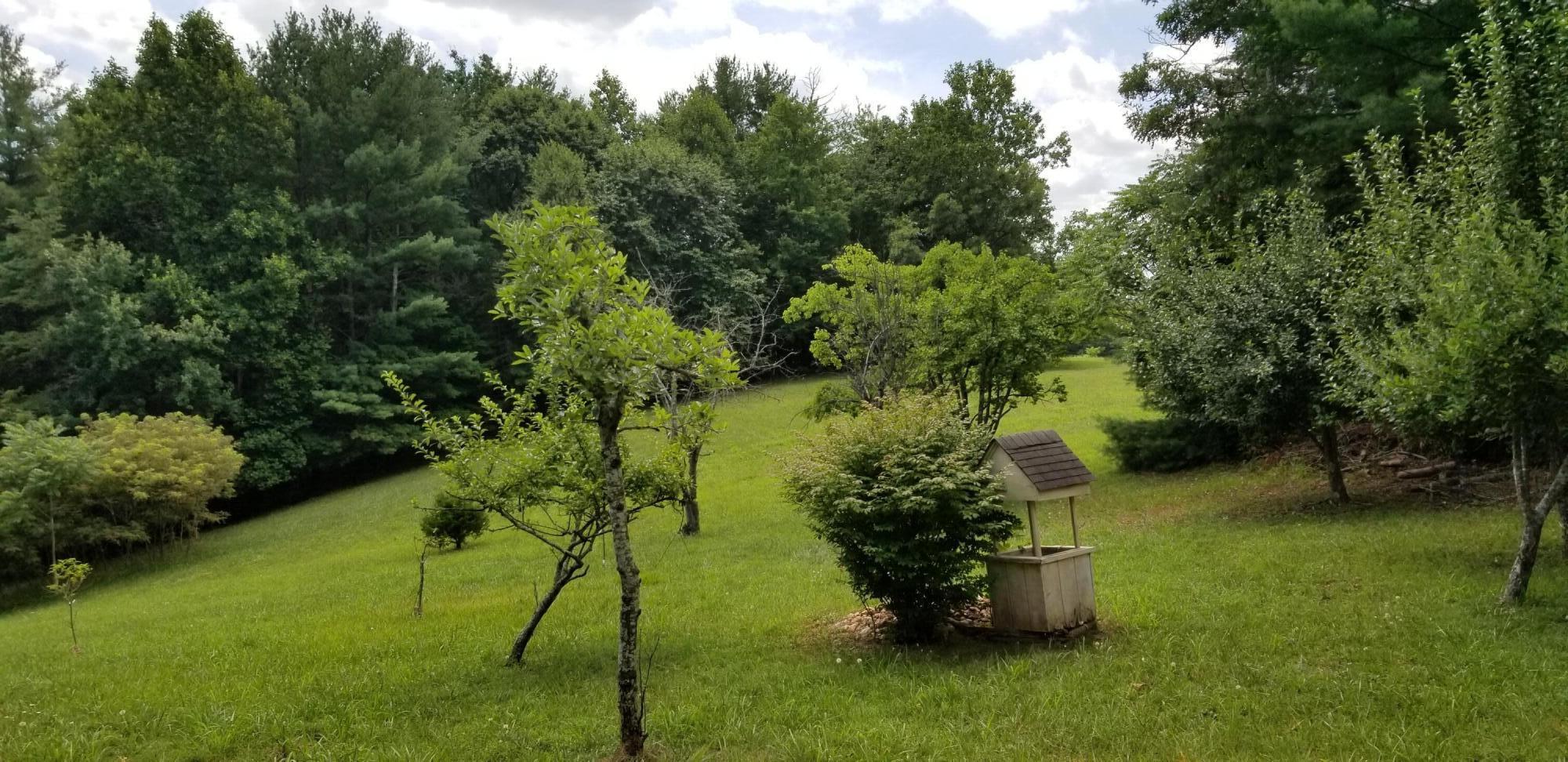 380 Holland Road Callaway, VA 24067 - Photo 31 of 36 28 Property