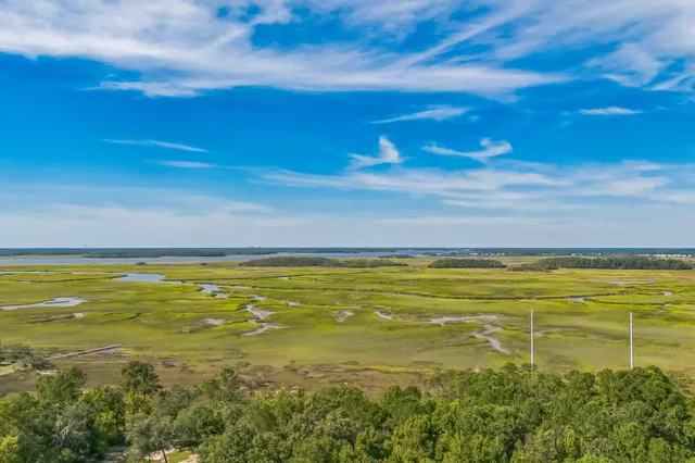 $879,000 | 1638 Evelina Street, Mount Pleasant, SC 29464