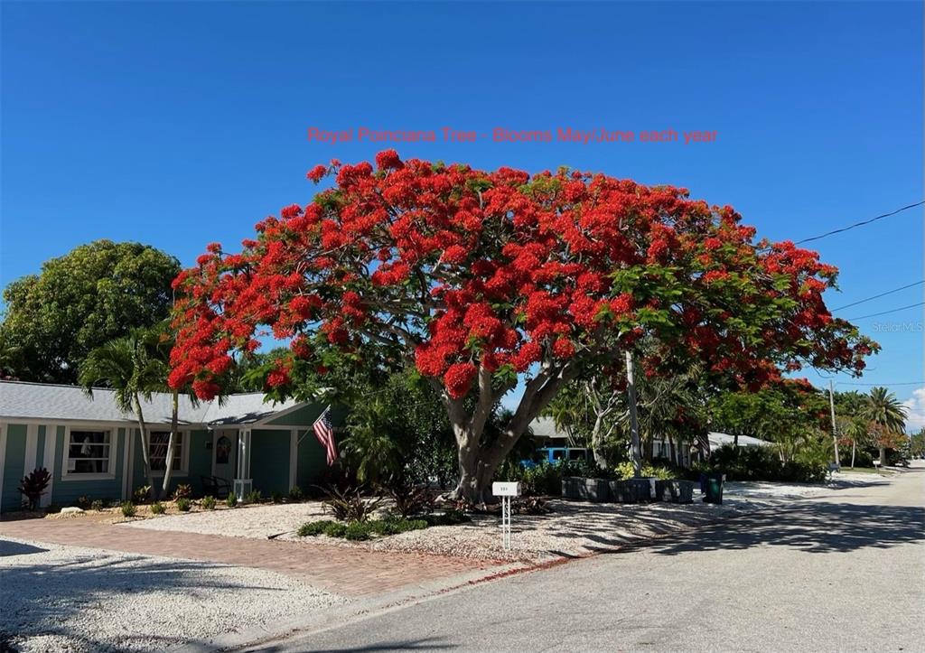 504 69th Street Holmes Beach, FL 34217 - Photo 53 of 55