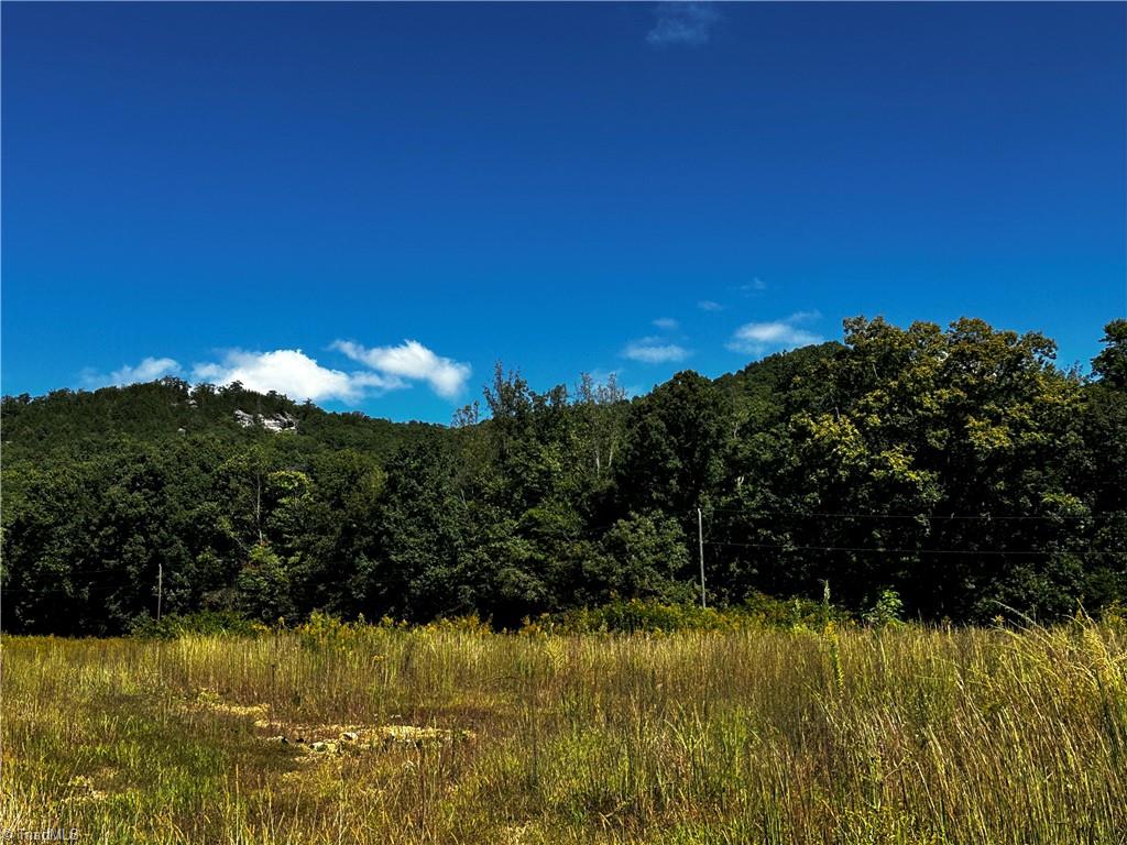 0 Reid Road King, NC 27021 - Photo 12 of 41