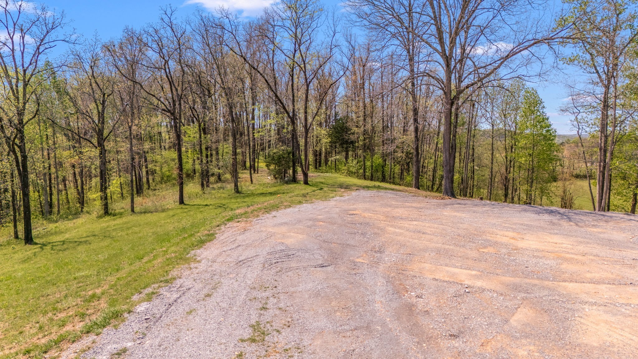 0 Whiteside Hill Road Wartrace, TN 37183 - Photo 32 of 38