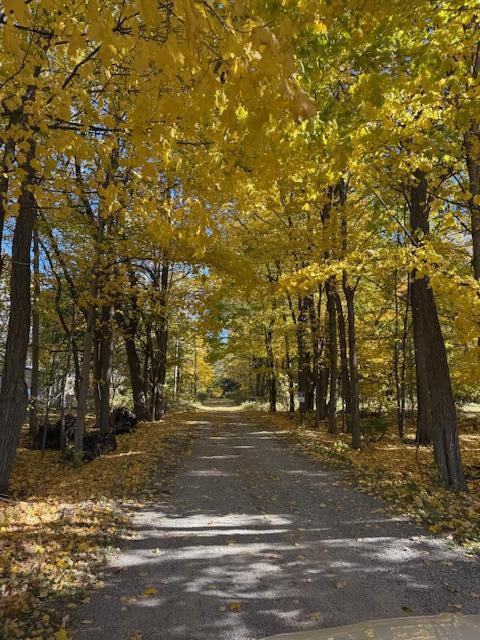 7504 Lincoln Lake Road Northeast Belding, MI 48809 - Photo 37 of 50 IMG_1360